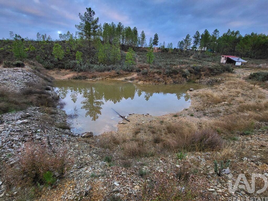 Land in Sobral do Campo - Image 3
