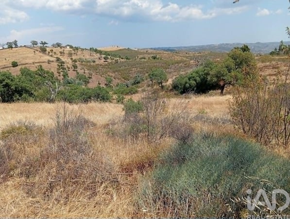Land in Santa Cruz - view 1