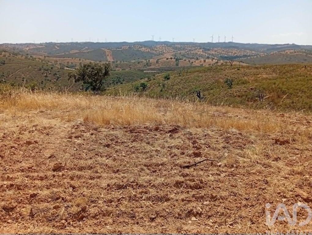 Land in Santa Cruz - Image 2