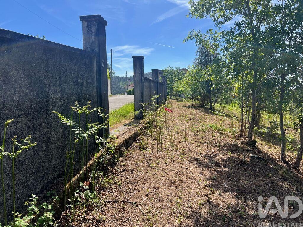 Land in Santa Cruz da Trapa - Image 2