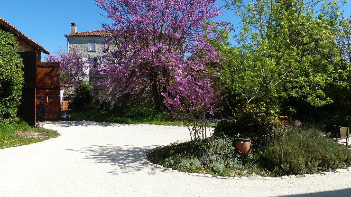 House in Courcome - Image 2