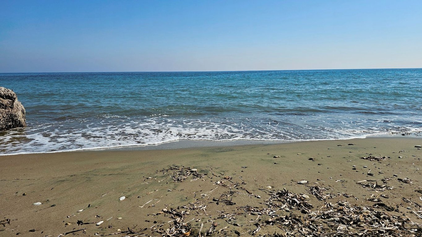 Land in Timi - Image 2