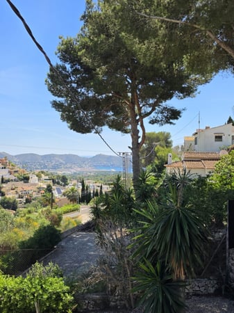 Villa in Algorfa - view 1