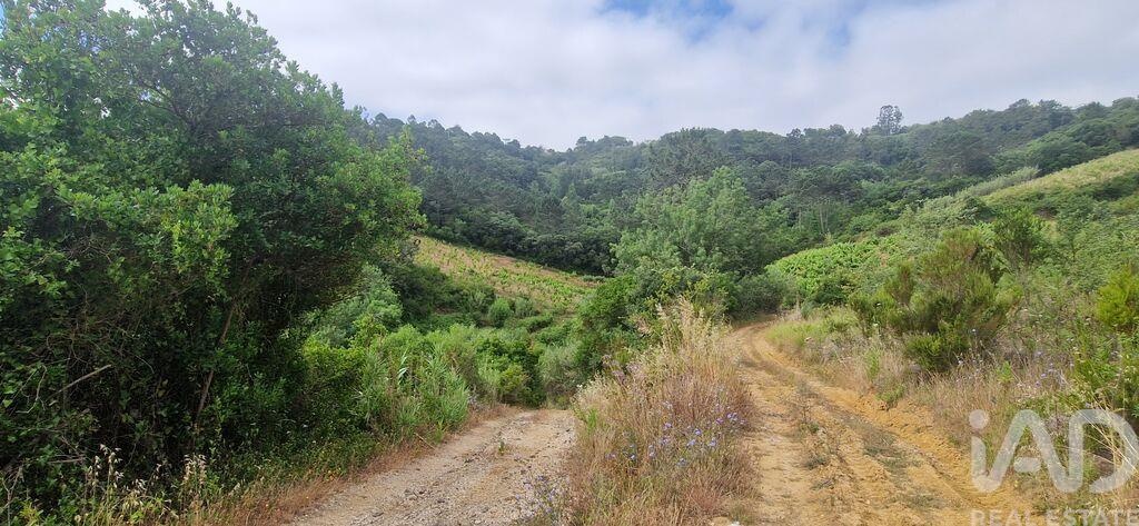 Land in Mafra - Image 3