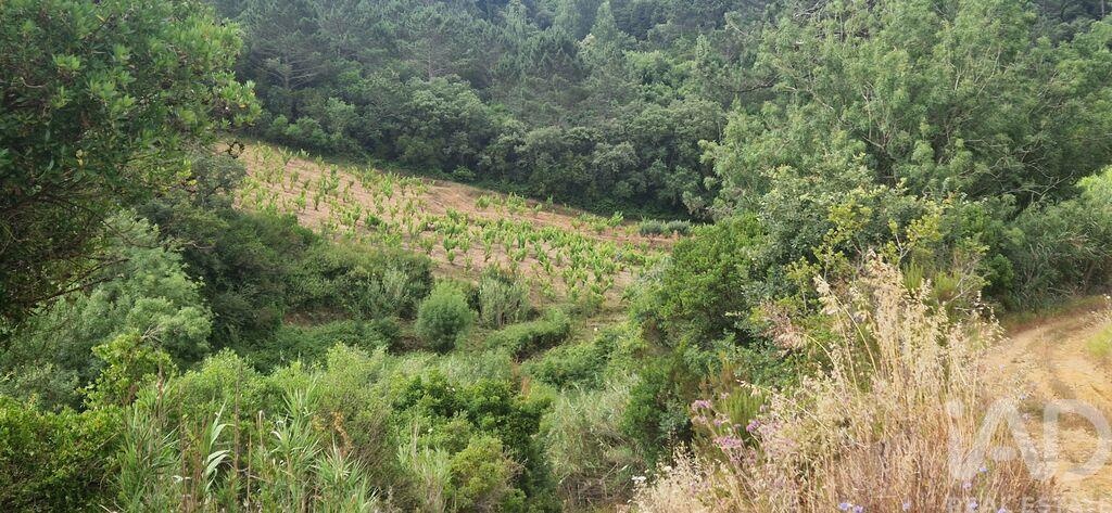 Land in Mafra - Image 2