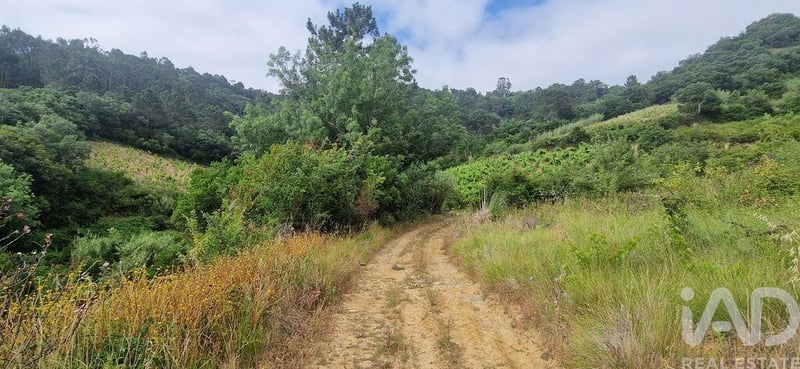 Land in Mafra - view 1
