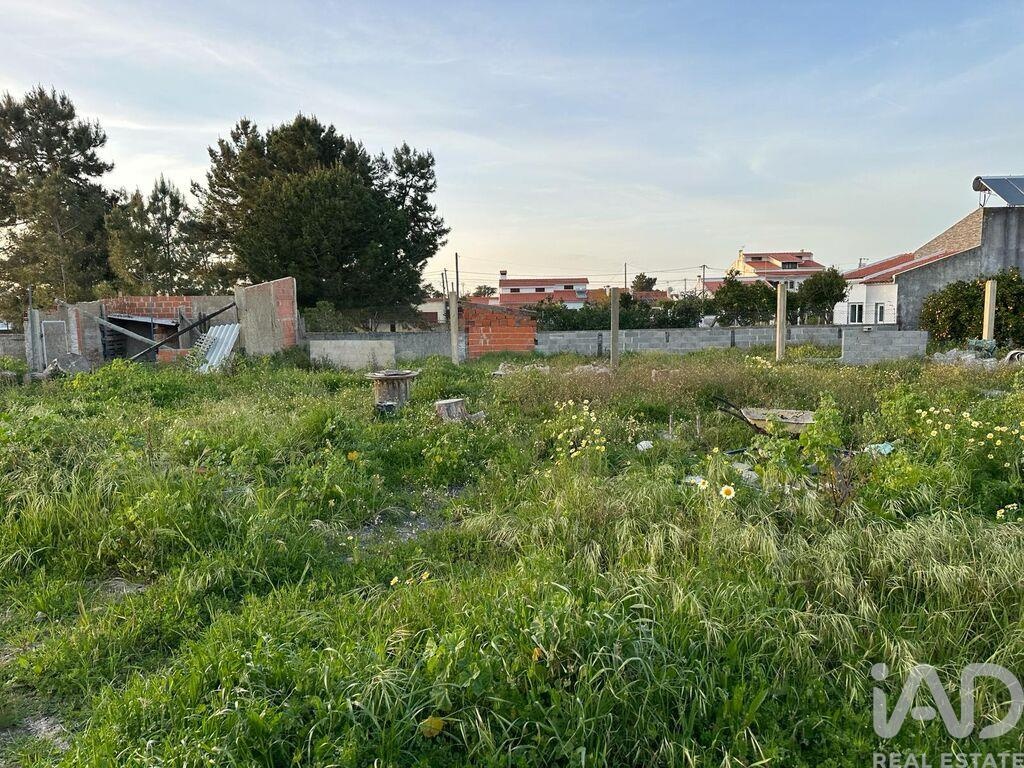 Land in Palmela - Image 2