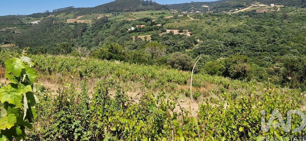 Land in Mafra - Image 3