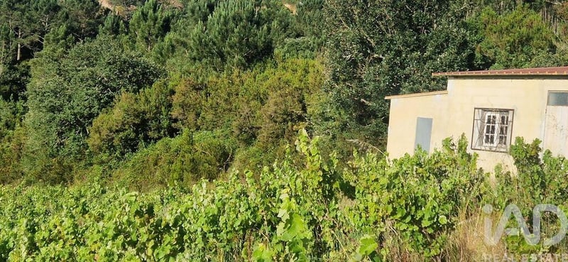 Land in Mafra - view 1