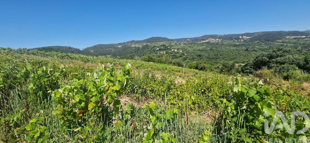 Land in Mafra - Image 2