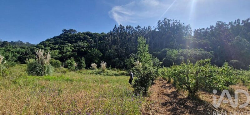 Land in Azueira - view 1