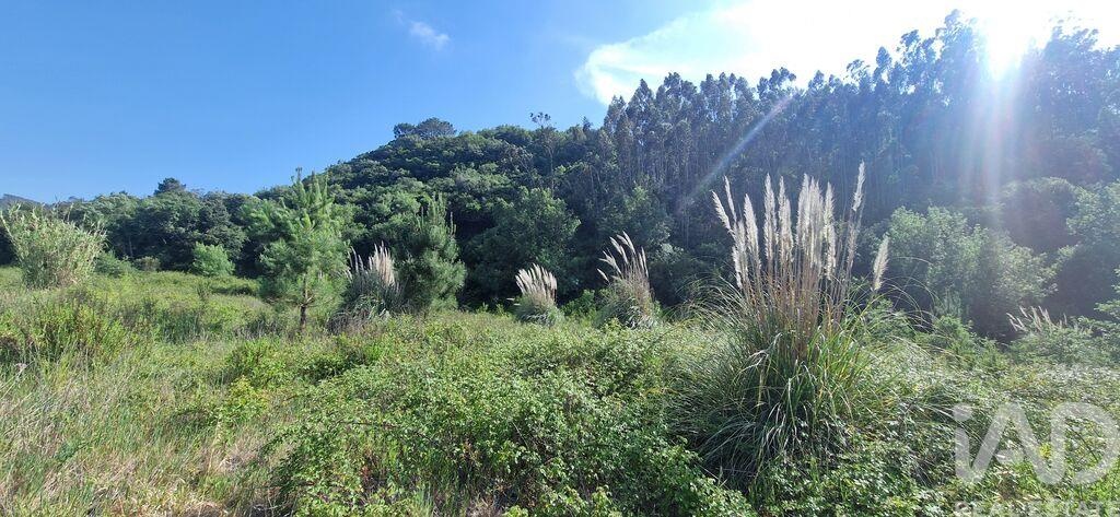 Land in Azueira - Image 3
