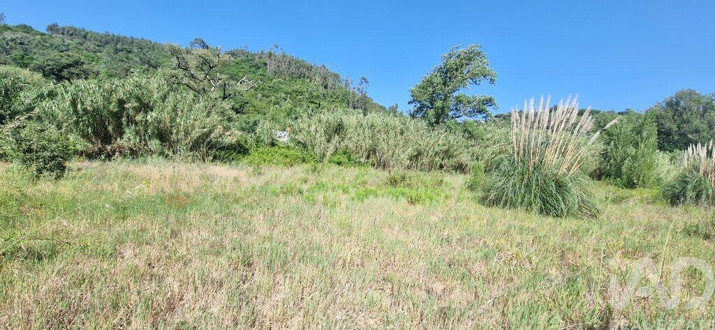 Land in Azueira - Image 2