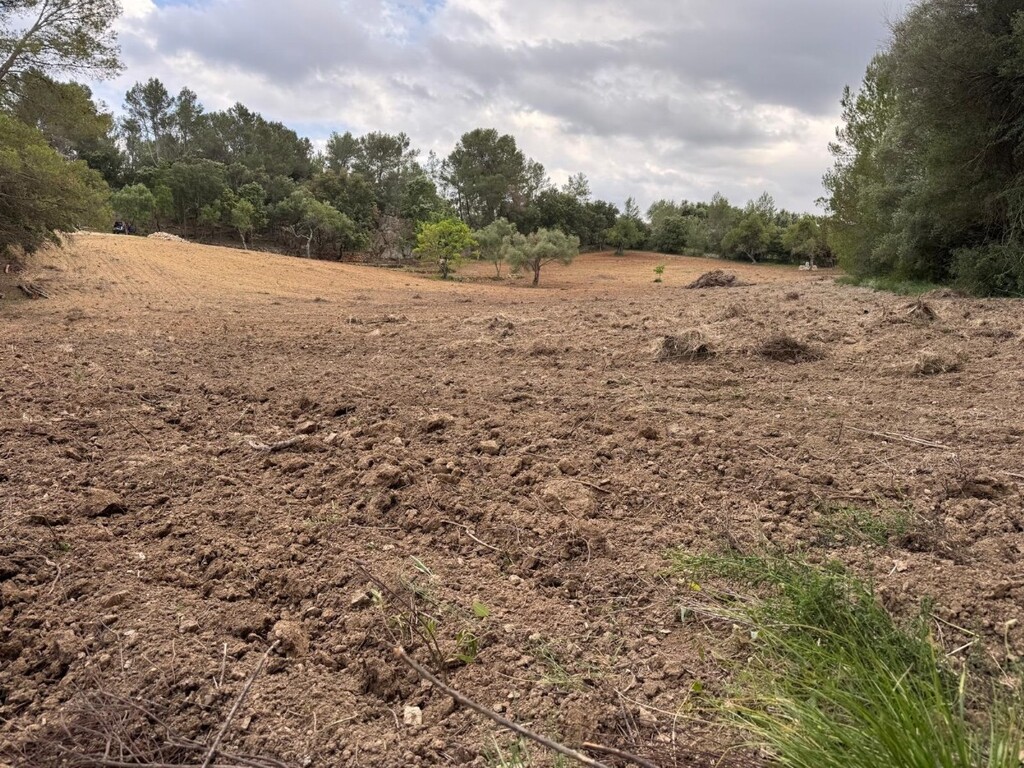 Land in Selva - Image 3