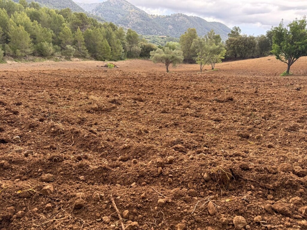 Land in Selva - Image 2