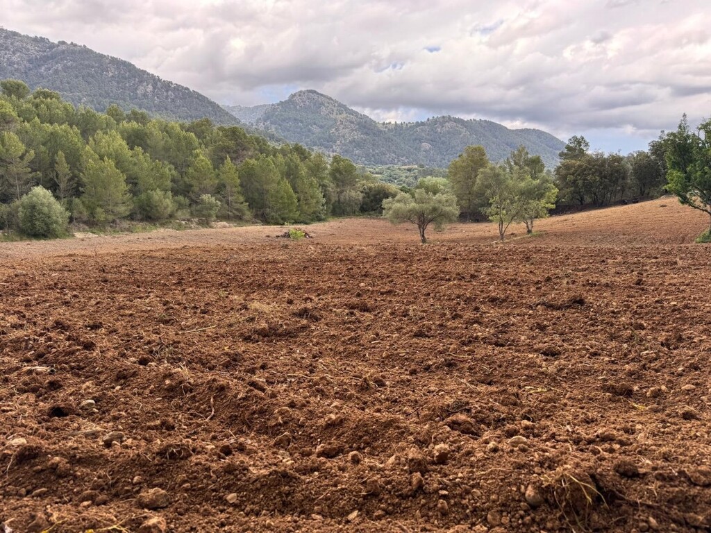 Land in Selva