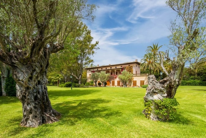Farm, Ranch or Equestrian in Pollenca - view 1