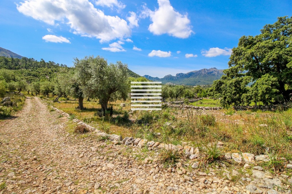House in Escorca - Image 3