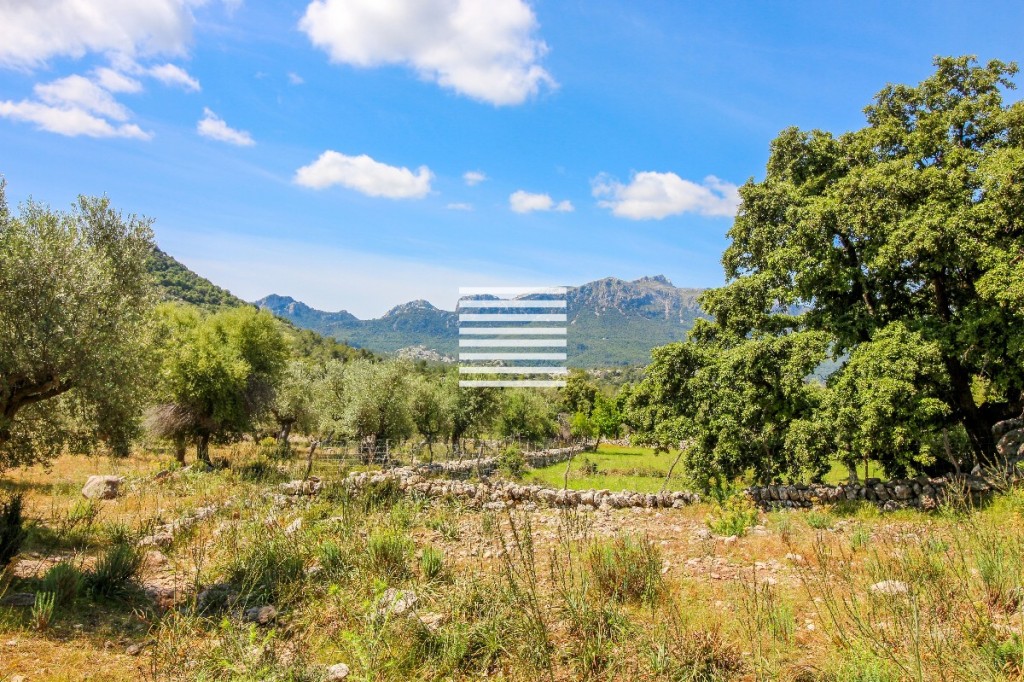 House in Escorca - Image 2