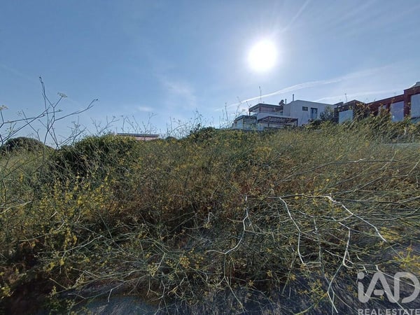 Land in Castelo - view 1