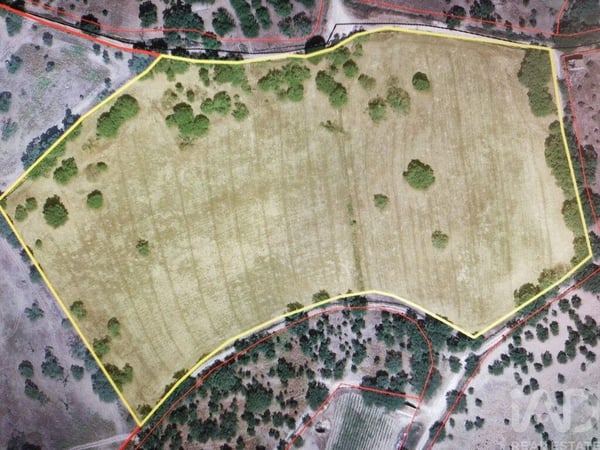 Land in Ribeira de Nisa - view 1