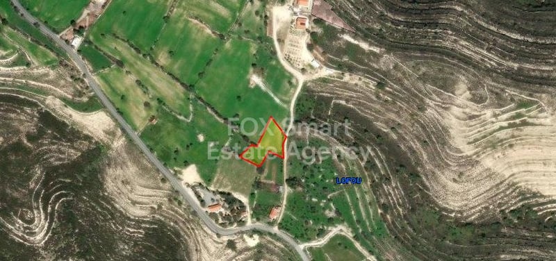 Land in Lofou - view 1