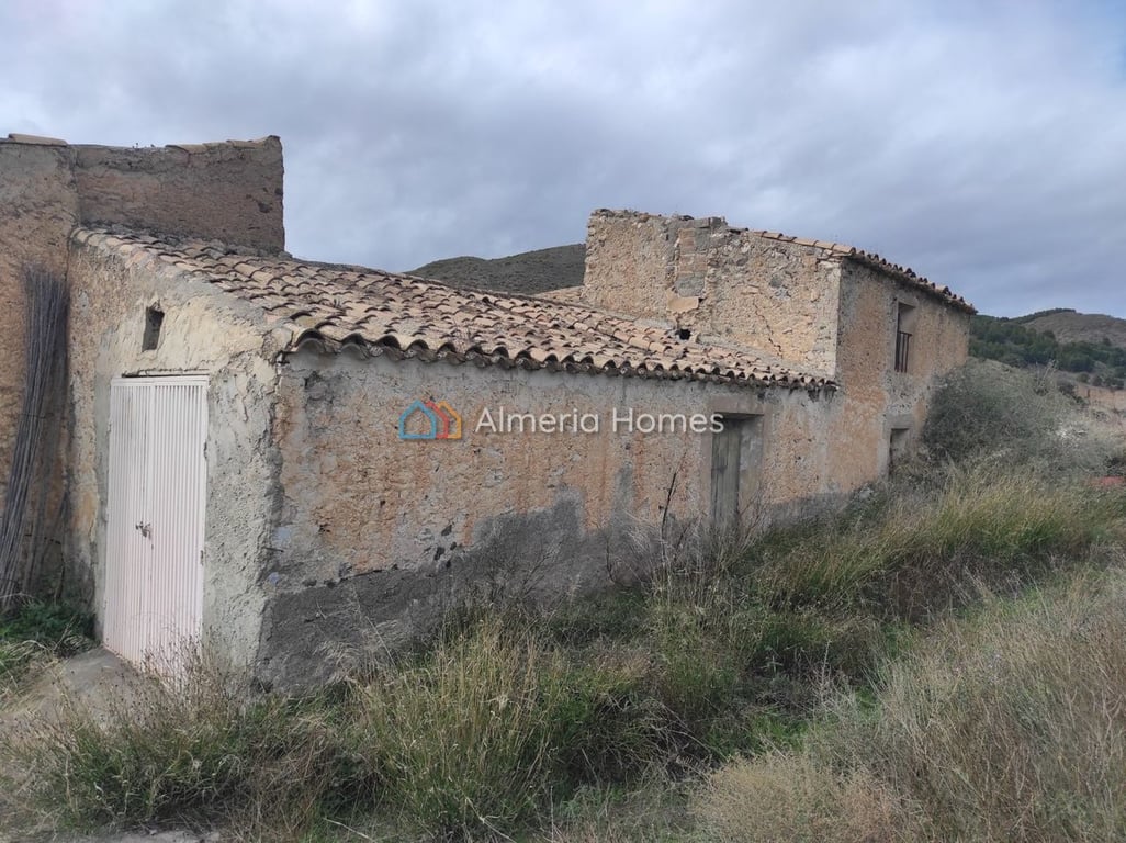 House in Lucar - Image 2