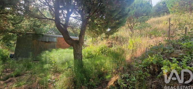 Land in Azueira - view 1