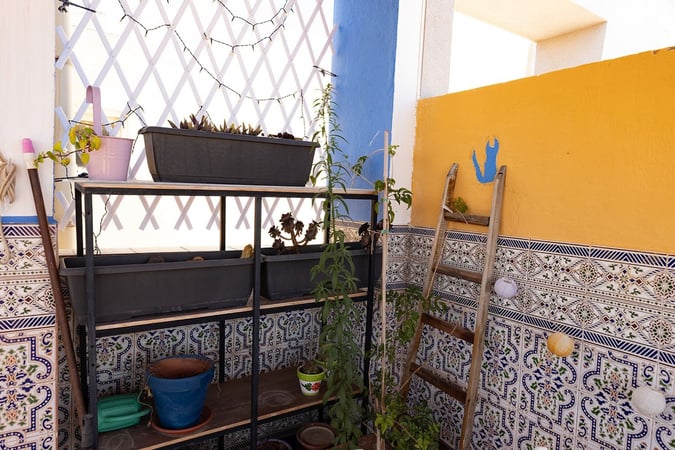 Apartment in Torrevieja - view 1
