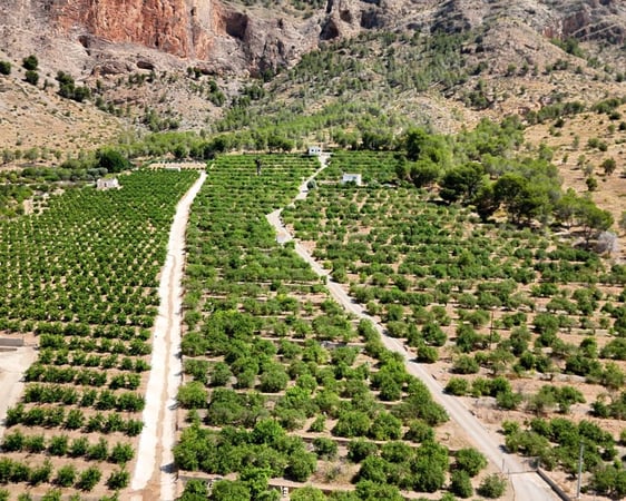 Farm, Ranch or Equestrian in Orihuela - view 1