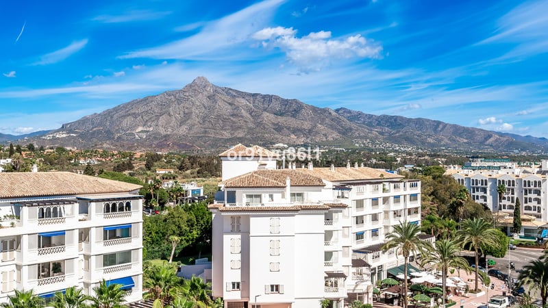House in Puerto Banus - view 1