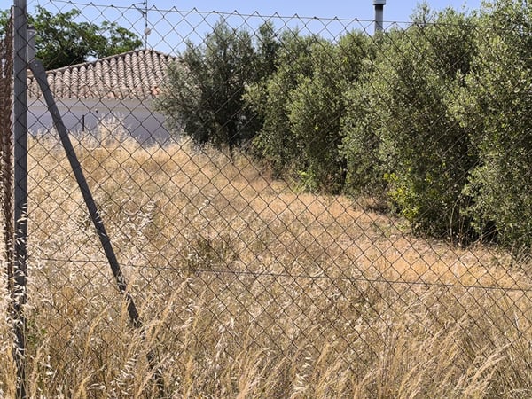 Land in Caudete - view 1