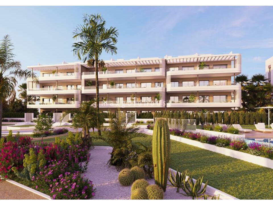 Apartment in Torrevieja - Image 2