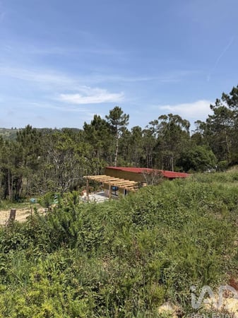 Land in Santo Isidoro - view 1