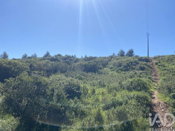 Land in Alcabideche - view 1