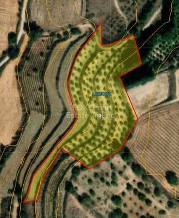 Land in Lemona - view 1