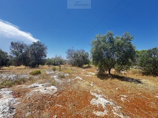 Land in Carovigno - view 1