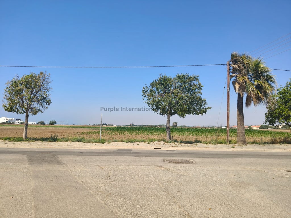 House in Perivolia - Image 3