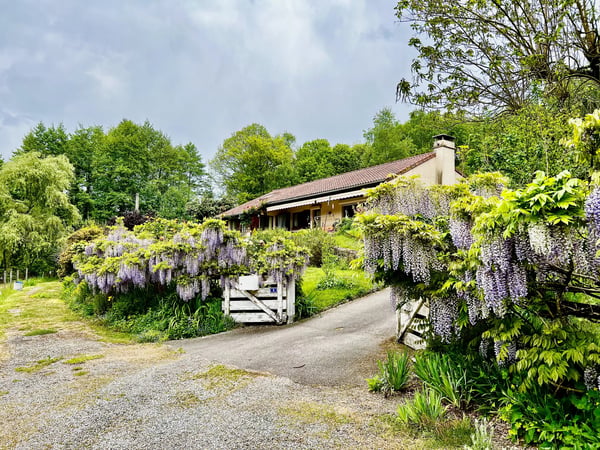 House in Blond - view 1