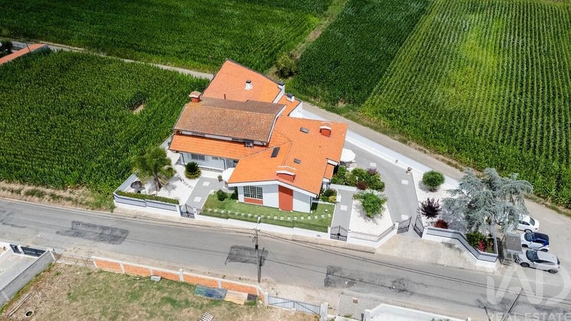 House in Sao Vicente de Pereira Jusa - view 1