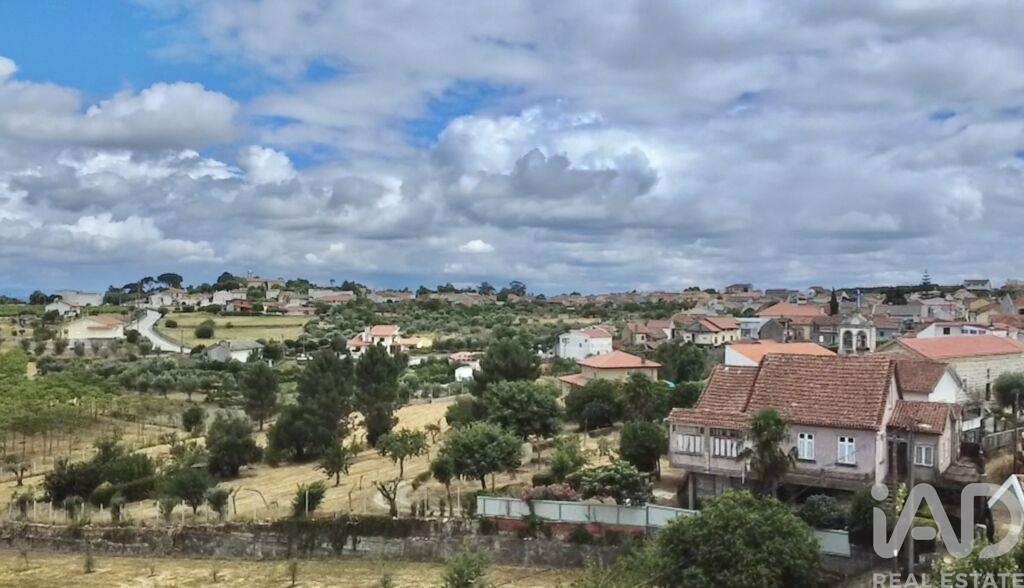 Farm, Ranch or Equestrian in Carvalhal Redondo - Image 2