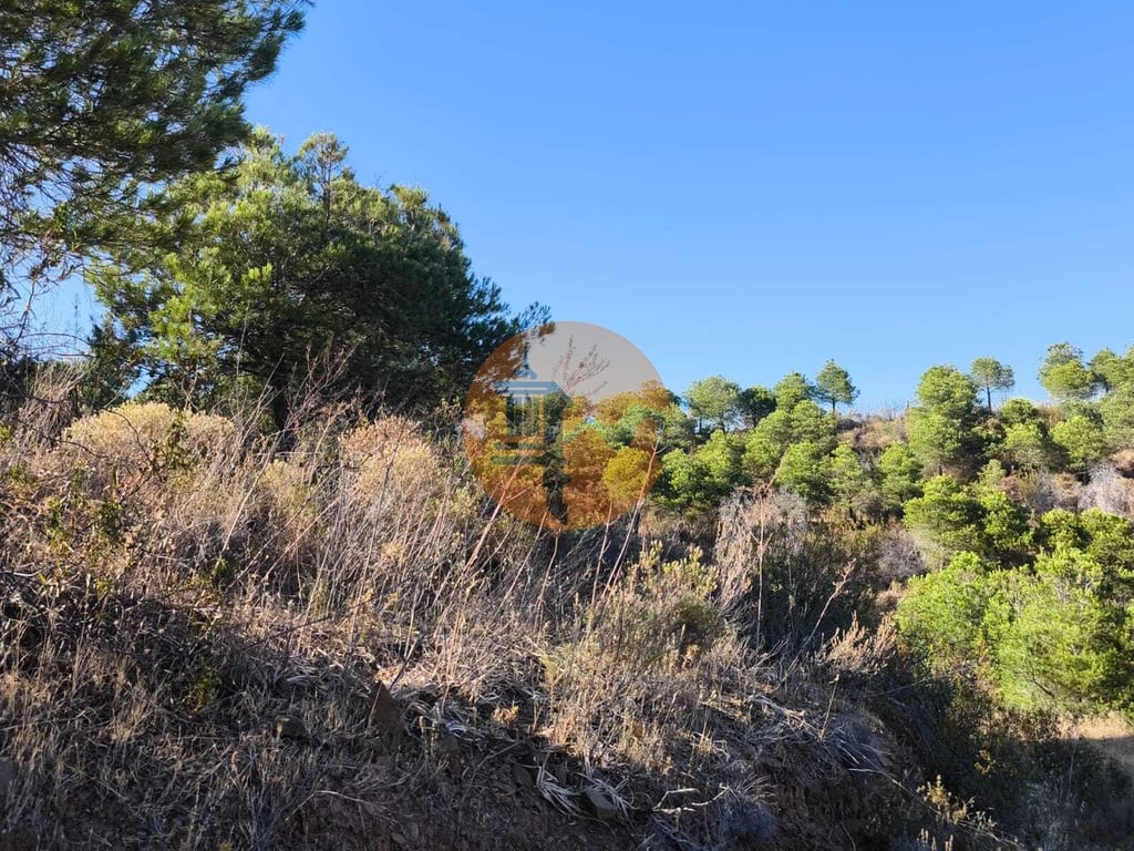Land in Castro Marim - Image 3