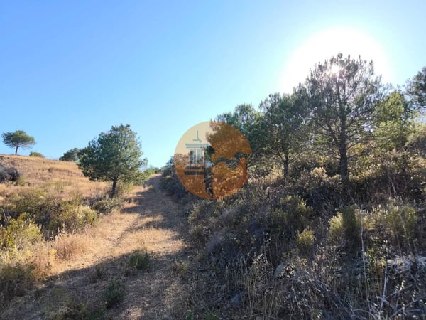 Land in Castro Marim - view 1