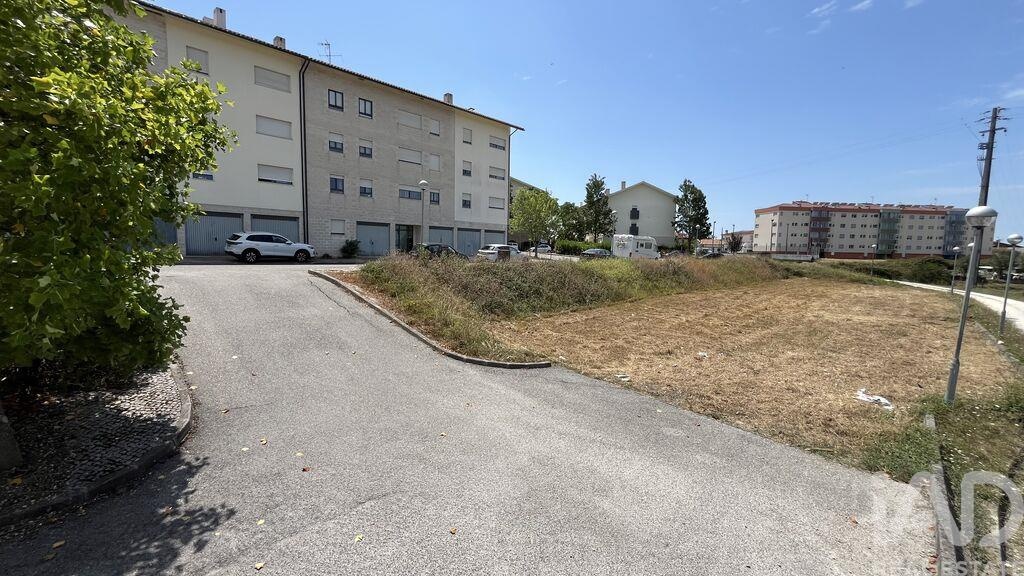 Land in Mealhada - Image 2