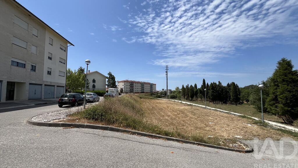 Land in Mealhada - Image 3