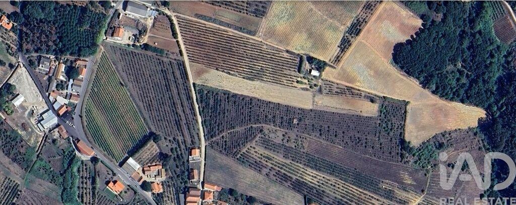 Land in Carvalhal - Image 2