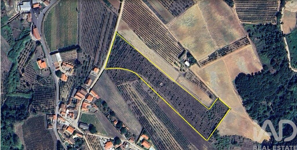 Land in Carvalhal