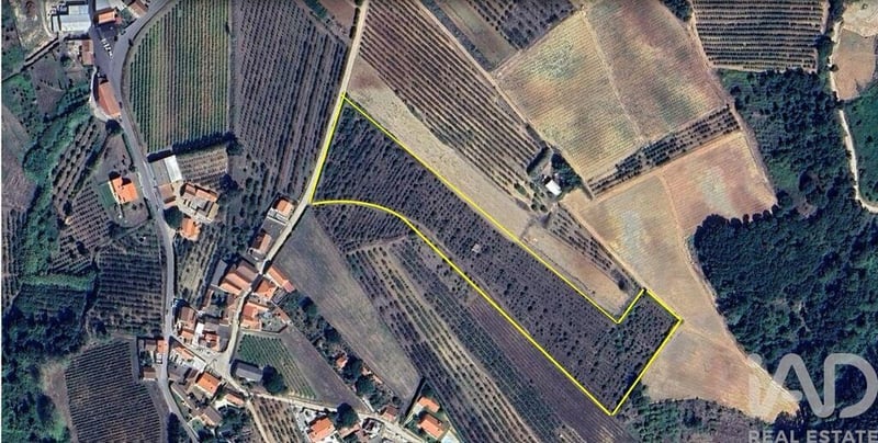 Land in Carvalhal - view 1