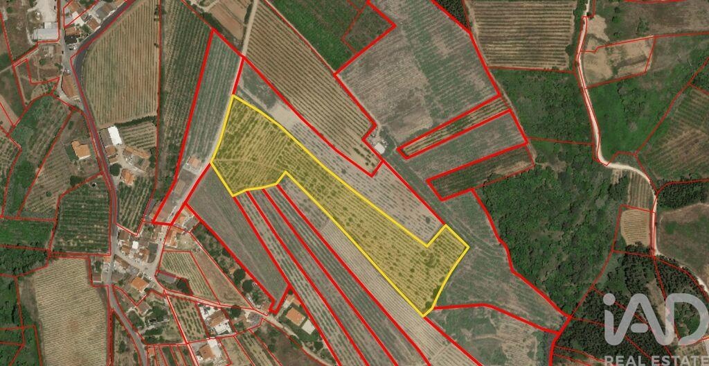 Land in Carvalhal - Image 3