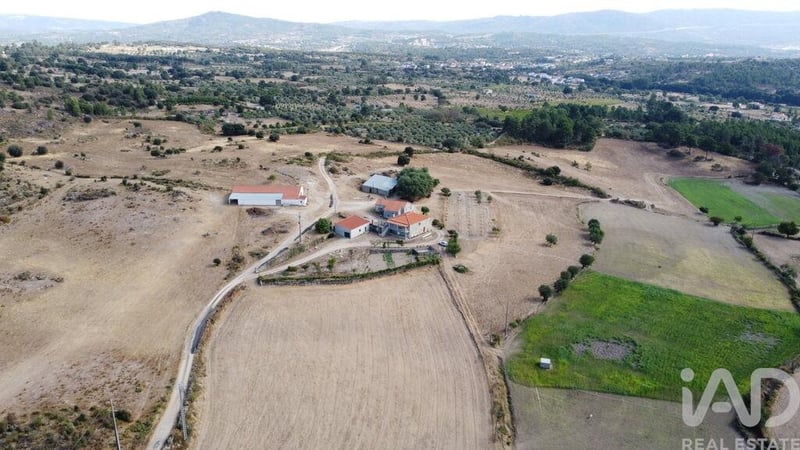 Farm, Ranch or Equestrian in Lajeosa do Mondego - view 1